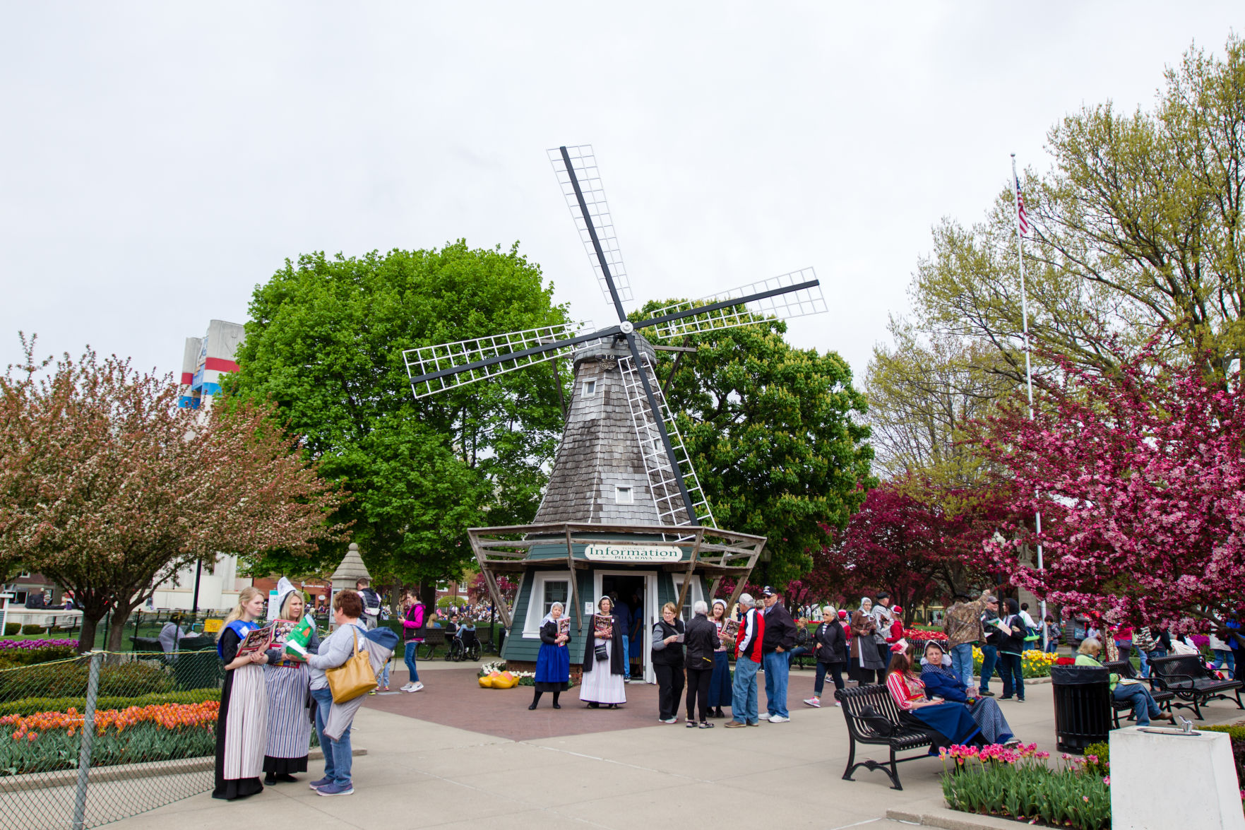 84th ANNUAL TULIP TIME